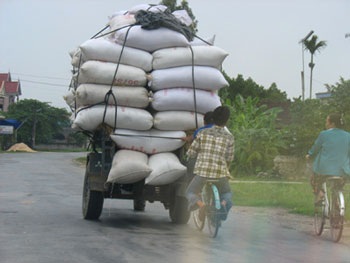 Biến quốc lộ thành... sân phơi rơm - 4 Biến quốc lộ thành... sân phơi rơm - 4