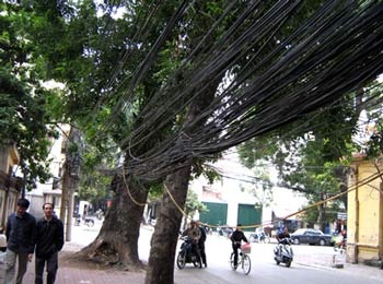 Thòng lọng “giết” trên đường phố - 2