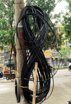 Thòng lọng “giết” trên đường phố - 1