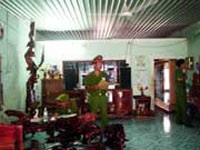 Băng Đồi Hoa Mai-Bình Thuận