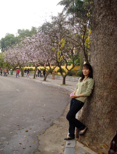 Hà Nội nồng nàn sắc tím hoa ban - 6