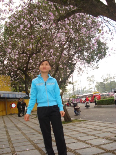 Hà Nội nồng nàn sắc tím hoa ban - 5