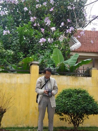 Hà Nội nồng nàn sắc tím hoa ban - 11