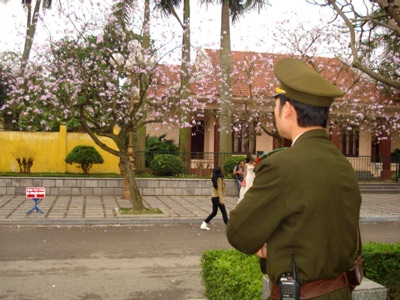 Hà Nội nồng nàn sắc tím hoa ban - 3