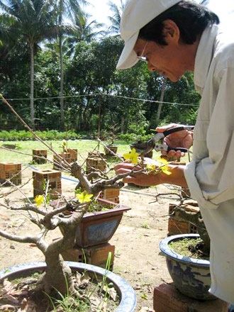 Phát tài nghề “ôsin cây cảnh” - 2 Phát tài nghề “ôsin cây cảnh” - 2