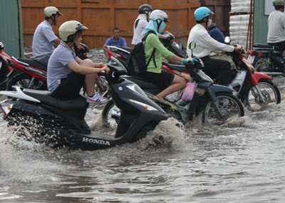 TPHCM khẩn trương ứng phó biến đổi khí hậu toàn cầu - 1 TPHCM khẩn trương ứng phó biến đổi khí hậu toàn cầu - 1