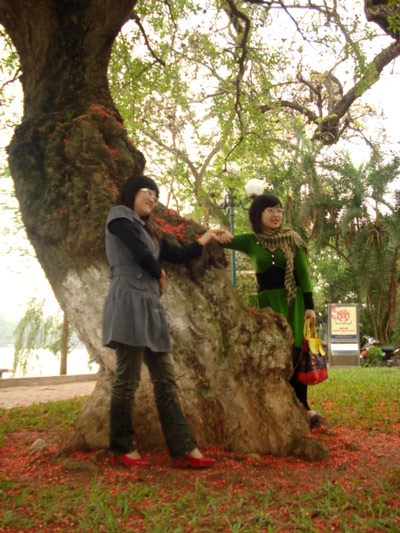 Lộc vừng rực đỏ ngày cuối xuân - 11 Lộc vừng rực đỏ ngày cuối xuân - 11