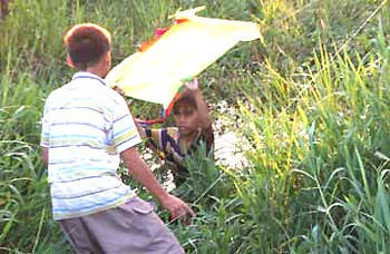 Nghề “cứu hộ” diều - 1 Nghề “cứu hộ” diều - 1