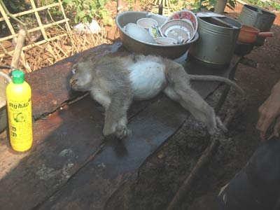 Xẻ thịt “tề thiên”  - 1