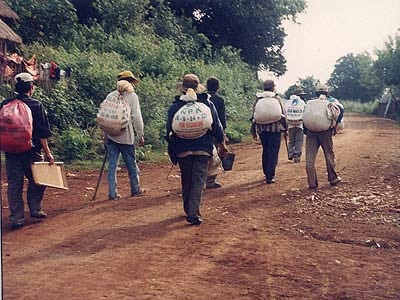 Lên núi tìm gỗ hóa thạch - 1 Lên núi tìm gỗ hóa thạch - 1