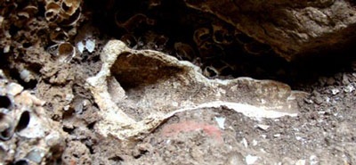 Bí ẩn trong “ngôi nhà” 21.000 năm tuổi - 2 Bí ẩn trong “ngôi nhà” 21.000 năm tuổi - 2