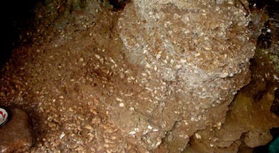 Bí ẩn trong “ngôi nhà” 21.000 năm tuổi - 4 Bí ẩn trong “ngôi nhà” 21.000 năm tuổi - 4