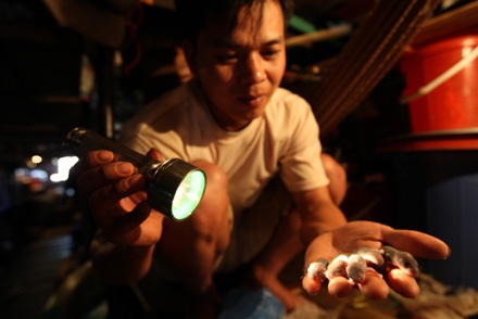 Thương hồ Đà giang - 6 Thương hồ Đà giang - 6