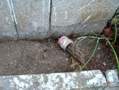 Những cảnh nực cười bên tượng đài chiến sĩ - 6