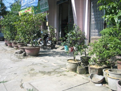 Vẫn là chuyện “mất trộm” vỉa hè - 10