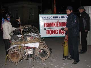 Đêm ở chợ đầu mối gia cầm - 1 Đêm ở chợ đầu mối gia cầm - 1
