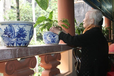 Nhà vườn cổ duy nhất giữa lòng Hà Nội kêu cứu - 1