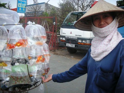 Ông Táo hối hả về trời - 4