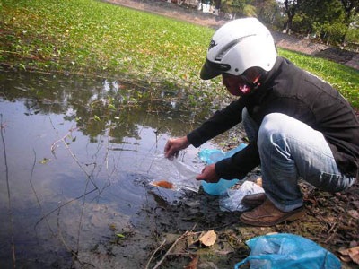 Ông Táo hối hả về trời - 5