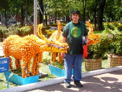 Ngắm trâu Kỷ Sửu trên đường phố Sài Gòn - 3 Ngắm trâu Kỷ Sửu trên đường phố Sài Gòn - 3