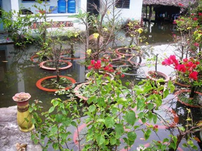 Vui Tết không trọn vẹn vì triều cường  - 1