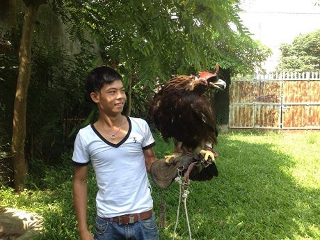 Dân chơi Hà Nội bỏ chục nghìn đô mua “đại bàng hoàng kim” - 1 Chú chim đại bàng hoàng kim độc nhất ở Việt Nam