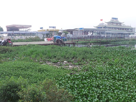 Hàng chục nhà hàng du thuyền đang “bức tử” Hồ Tây - 12 Hàng loạt nhà hàng du thuyền, nhà nổi đang bức tử Hồ Tây