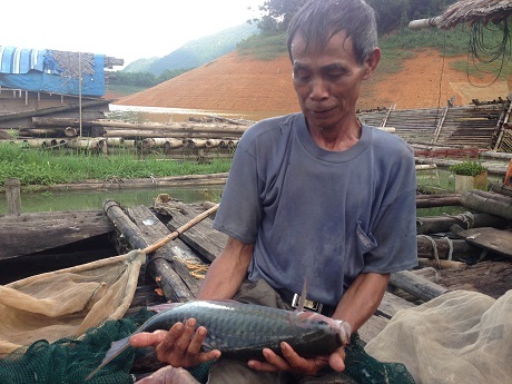 Ông Bùi Văn Kế và con cá nặng khoảng 2,5kg sau gần 5 năm nuôi