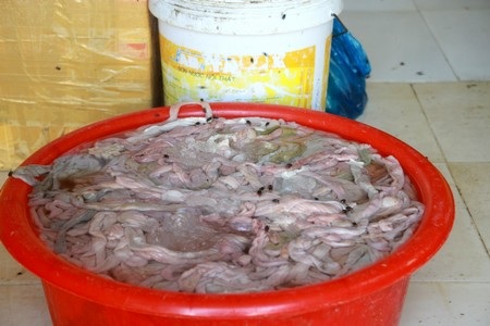 Lòng lợn thối bị chặn đứng trên đường mang về Hà Nội tiêu thụ