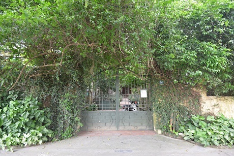 Biệt thự xanh bạc tỉ đẹp như cổ tích giữa lòng Hà Nội