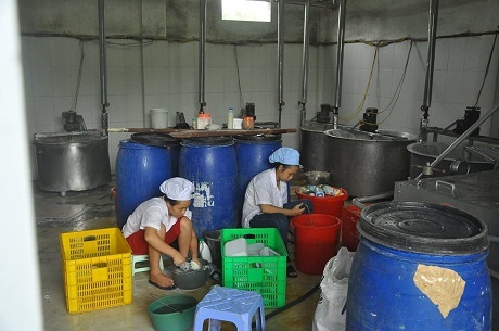 Bên trong một cơ sở sản xuất sữa tươi Ba Vì