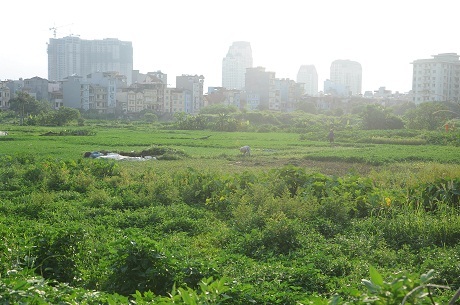 Hà Nội: Cận cảnh dự án cao ốc 100 tầng làm vườn rau - 3 Hà Nội: Cận cảnh dự án cao ốc 100 tầng làm vườn rau