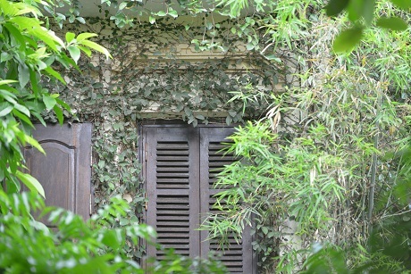 Các ô cửa sổ dây leo quấn quanh tạo nên vẻ đẹp thơ mộng như trong chuyện cổ tích