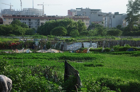 Hà Nội: Cận cảnh dự án cao ốc 100 tầng làm vườn rau - 4 Hà Nội: Cận cảnh dự án cao ốc 100 tầng làm vườn rau