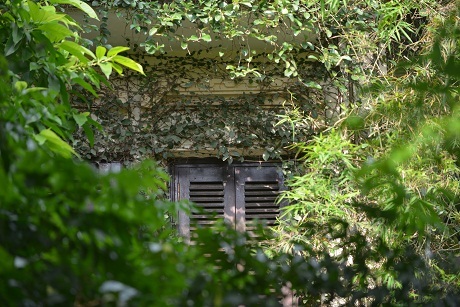 Các ô cửa sổ dây leo quấn quanh tạo nên vẻ đẹp thơ mộng như trong chuyện cổ tích