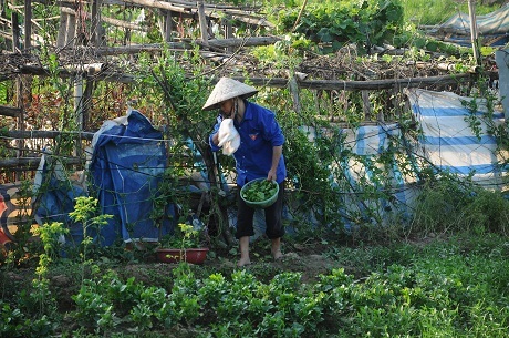 Hà Nội: Cận cảnh dự án cao ốc 100 tầng làm vườn rau - 8 Tương lai của khu đất này đang rất mờ mịt
