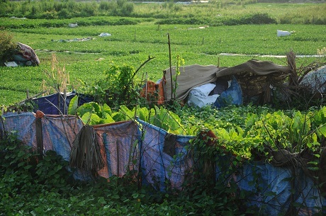 Hà Nội: Cận cảnh dự án cao ốc 100 tầng làm vườn rau - 9 Tương lai của khu đất này đang rất mờ mịt