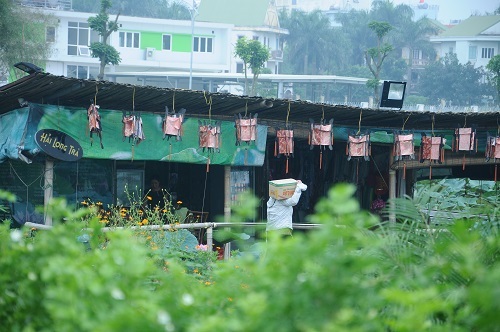 Vụ băm nát hồ Tây thu lợi: Chưa hề có giấy phép kinh doanh nhà hàng - 5 Nhà hàng thuyền gỗ hoành tráng ở khu vực phường Nhật Tân cũng đang băm nát hồ Tây để thu lợi