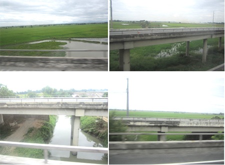 Nỗi lo sau cảnh ngập nước trên đại lộ Thăng Long - 2