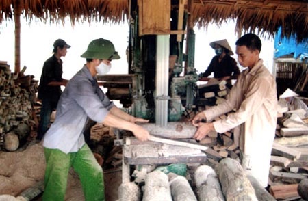 Cho nhà đầu tư nước ngoài thuê đất rừng với giá... 180.000đ/ha - 1