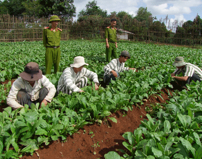Đề nghị truy tố 4 quản giáo dùng nhục hình với phạm nhân - 1