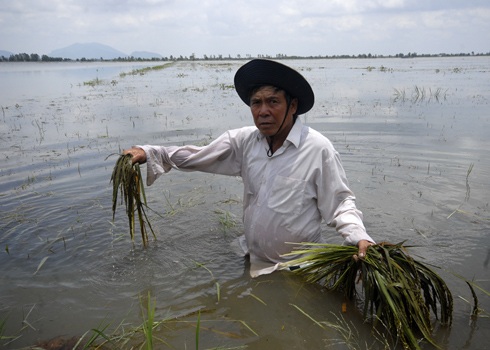 Những sự kiện xã hội được quan tâm nhất năm 2011 - 8 Những sự kiện xã hội được quan tâm nhất năm 2011 - 8