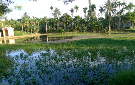 Bí quyết “giữ mình” của thành phố di sản