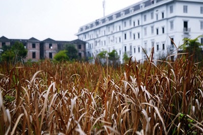 Lũng đoạn đẩy giá đất lên hàng tỷ đồng/m2? - 1 Lũng đoạn đẩy giá đất lên hàng tỷ đồng/m2?