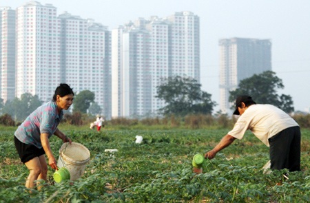 Loay hoay tìm hướng để người bị thu hồi đất thành “được” thu hồi - 2 Làm sao để cuộc sống của người dân sau thu hồi đất phải tốt hơn cuộc sống cũ.