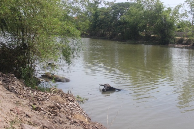 Hạn hán kỷ lục, dân quay quắt trong “cơn khát”
