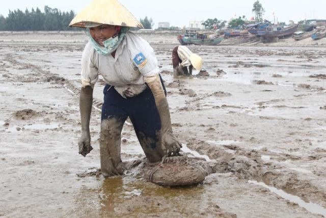 Kiếm bạc triệu mỗi ngày nhờ săn cá “kỳ lạ nhất hành tinh” - 1 Nghề săn cá còi cũng là nghề vô cùng vất vả