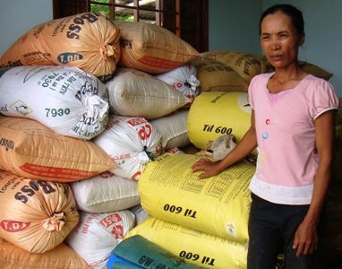 Rộ tin đồn lúa gây... vô sinh, ung thư! - 1