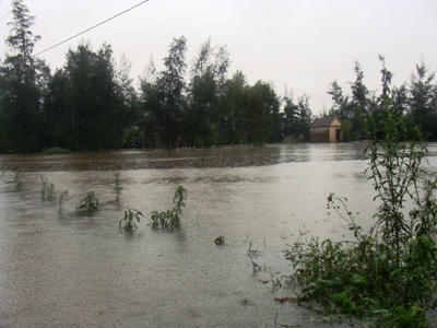 Mưa lớn, hàng ngàn hộ dân chìm trong biển nước - 2