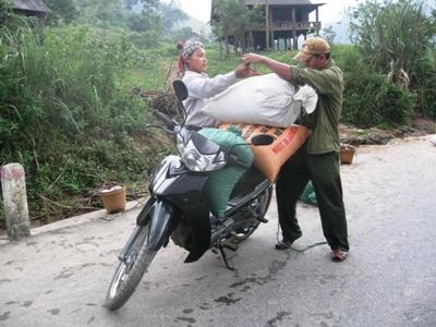 Mùa “vàng” trên nương rẫy bản B Loóc - 2 Mùa “vàng” trên nương rẫy bản B Loóc - 2